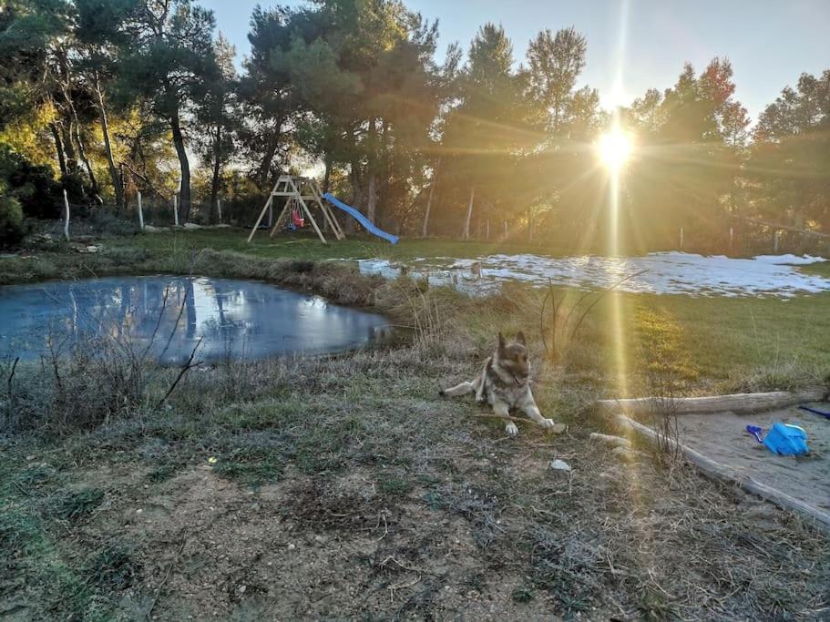 Mas Del Olivar La Portellada Bagian luar foto